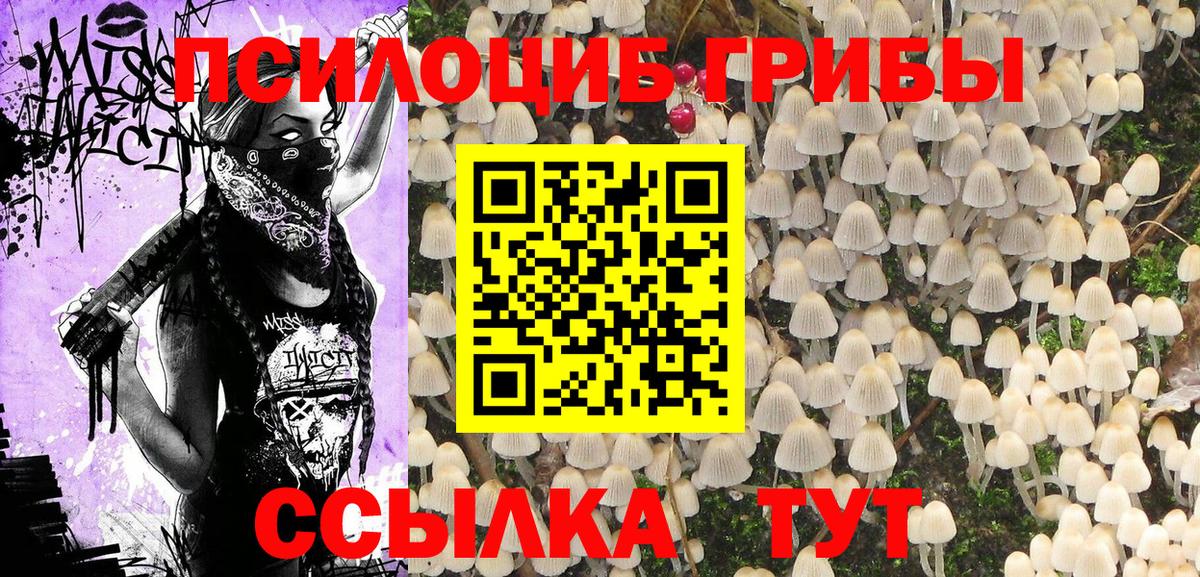 Псилоцибиновые грибы MAGIC MUSHROOMS Кушва